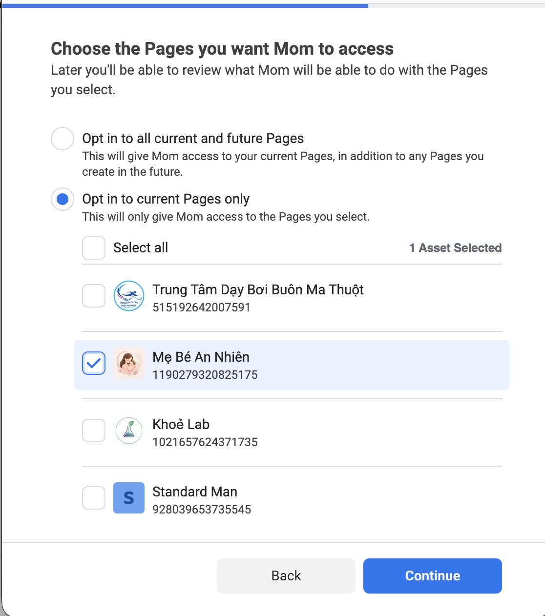 Choose a Facebook Page when granting Meta app permissions
