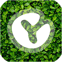 Escbase - Trang phân tích Crypto hàng ngày